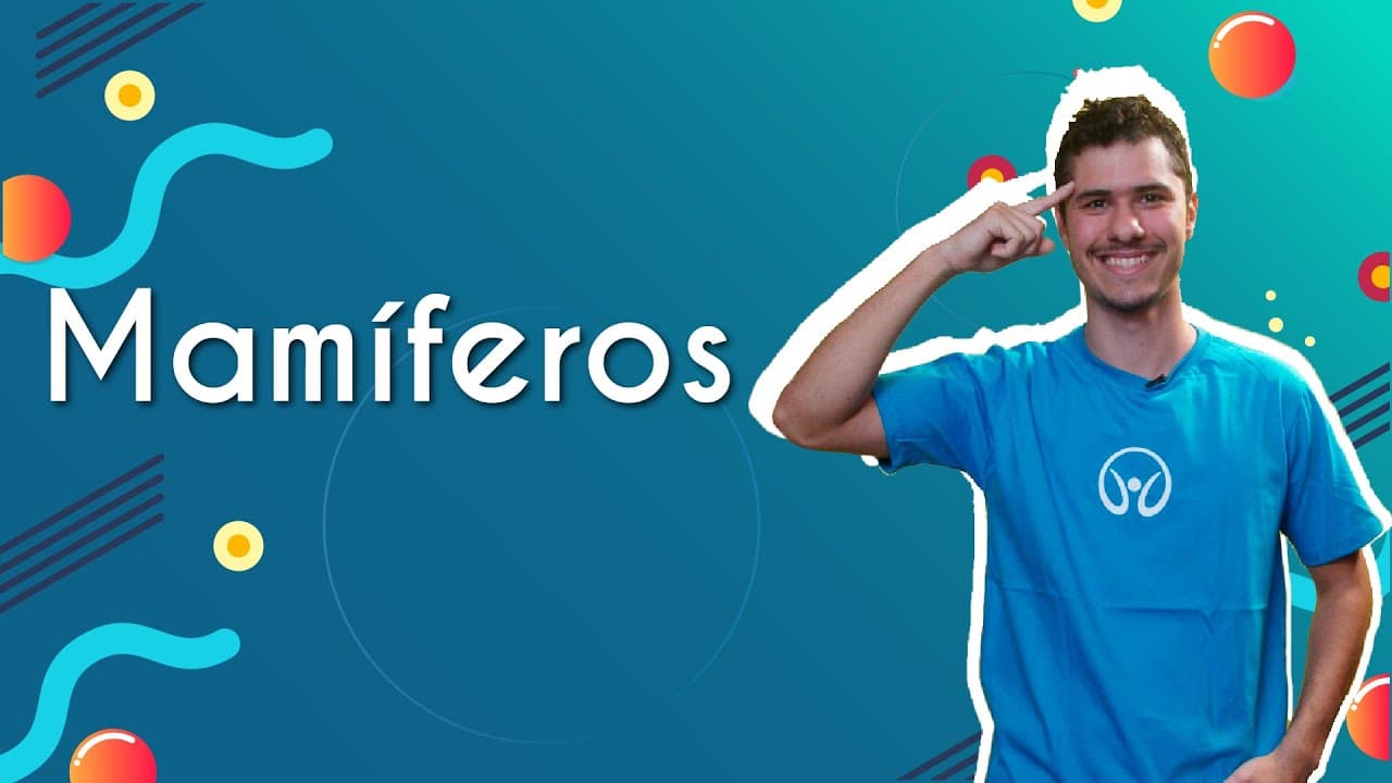 Thumbnail: Mamíferos - Brasil Escola