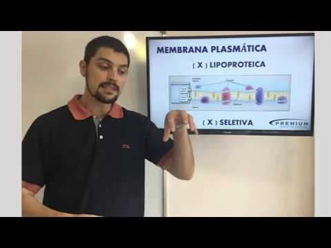 Thumbnail da aula: Dicas UFRGS 2016 - Membrana Plasmática - ENEM Premium