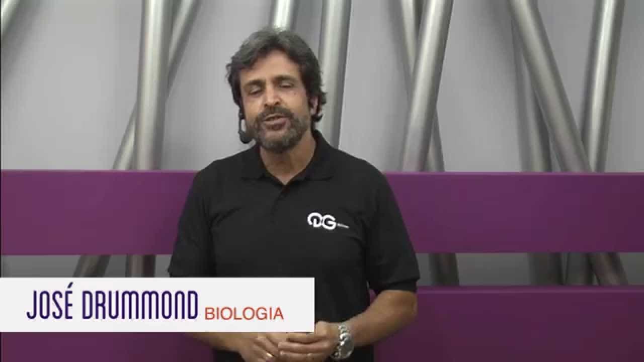 Thumbnail: Biologia: Sistema Vacuolar Citoplasmático - ENEM