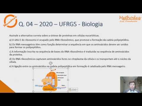 Thumbnail da aula: Questão 04 - 2020 - UFRGS - Biologia - Assinale a alternativa correta sobre a síntese de proteínas