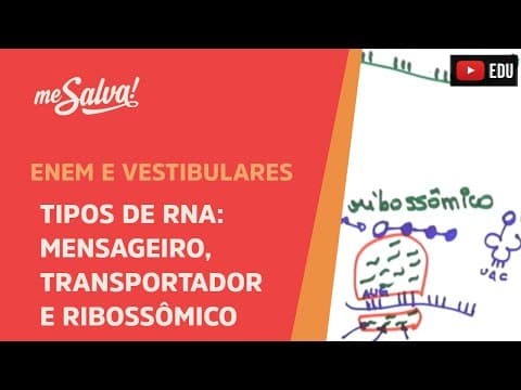 Thumbnail da aula: Me Salva! GEN05 - Genética - Tipos de RNA: mensageiro, transportador e ribossômico