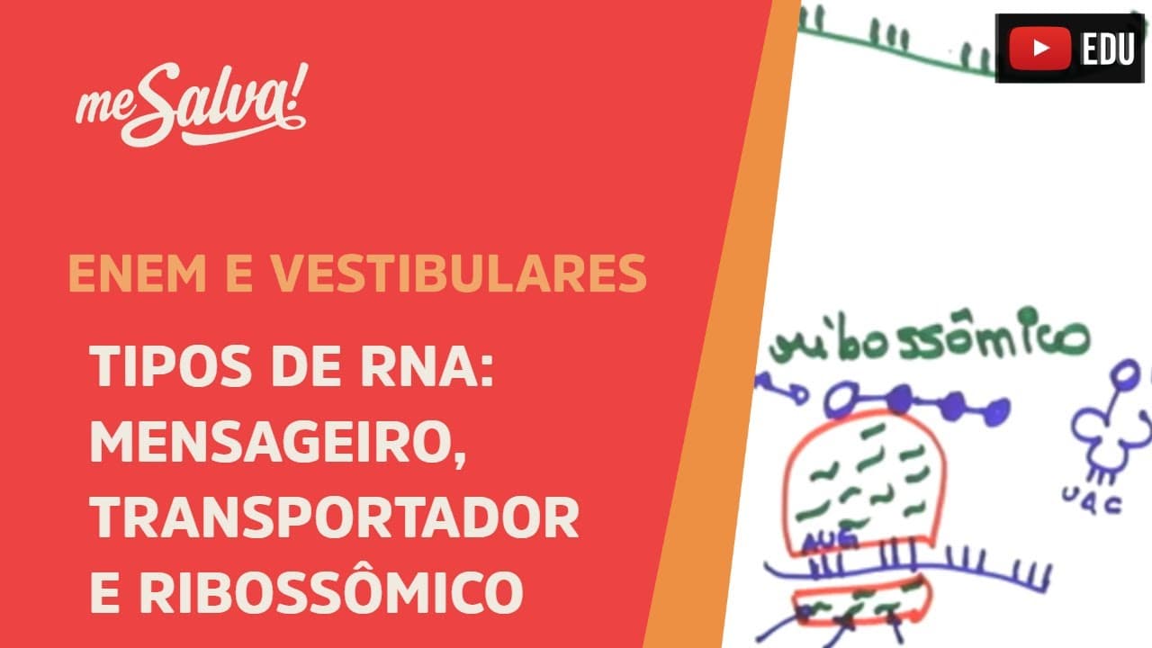 Thumbnail: Me Salva! GEN05 - Genética - Tipos de RNA: mensageiro, transportador e ribossômico