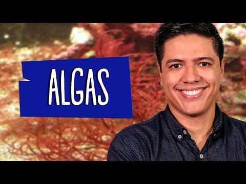 Thumbnail da aula: REINO PROTISTA: PROTOCTISTA - ALGAS - AULA #02  - Prof. Kennedy Ramos