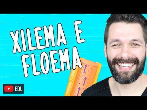 Thumbnail da aula: XILEMA E FLOEMA - Diferenças | Biologia com Samuel Cunha