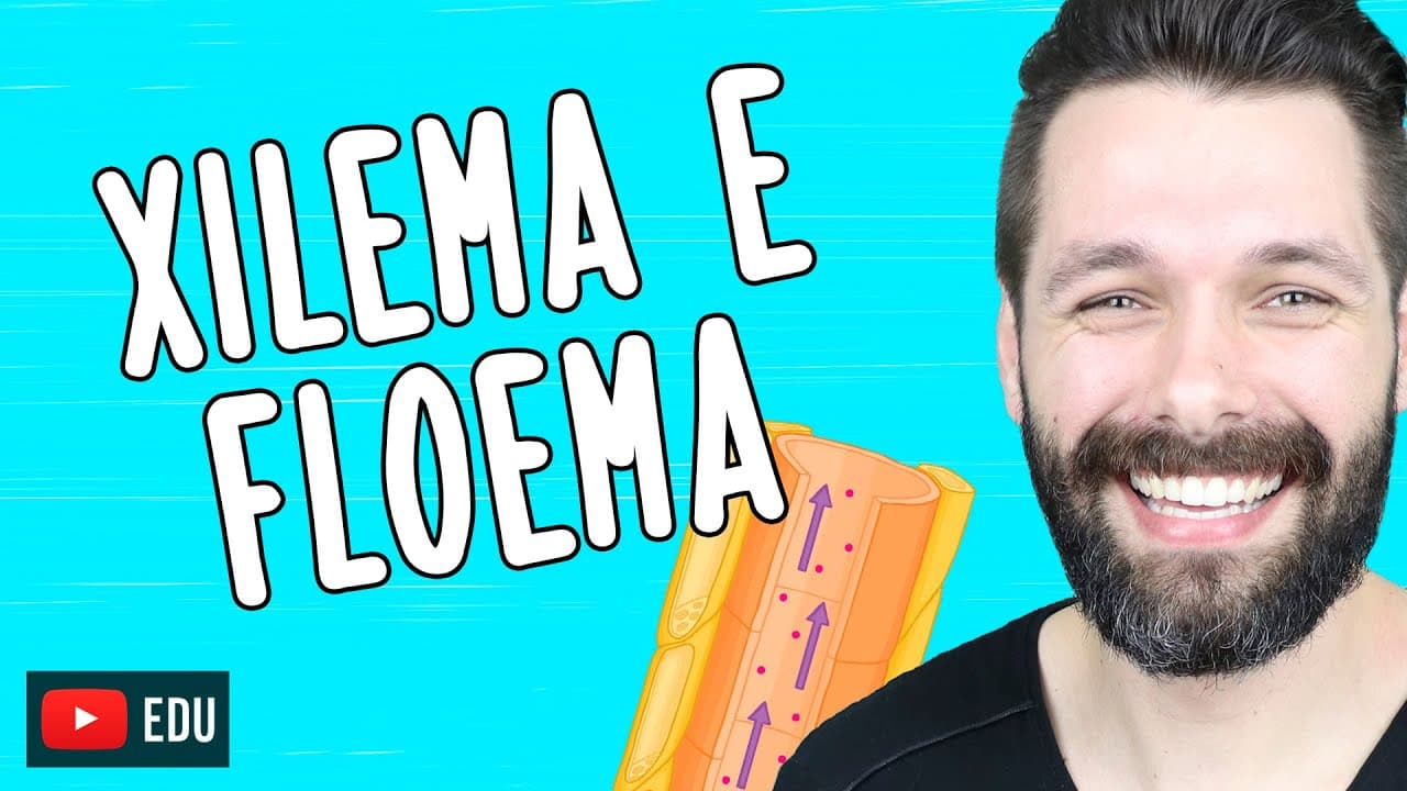 Thumbnail: XILEMA E FLOEMA - Diferenças | Biologia com Samuel Cunha
