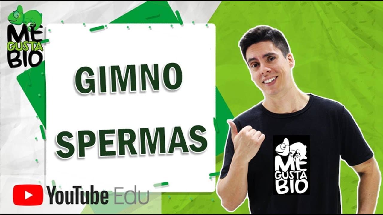 Thumbnail: Gimnospermas | Me Gusta Bio com professor Gustavo Schmidt