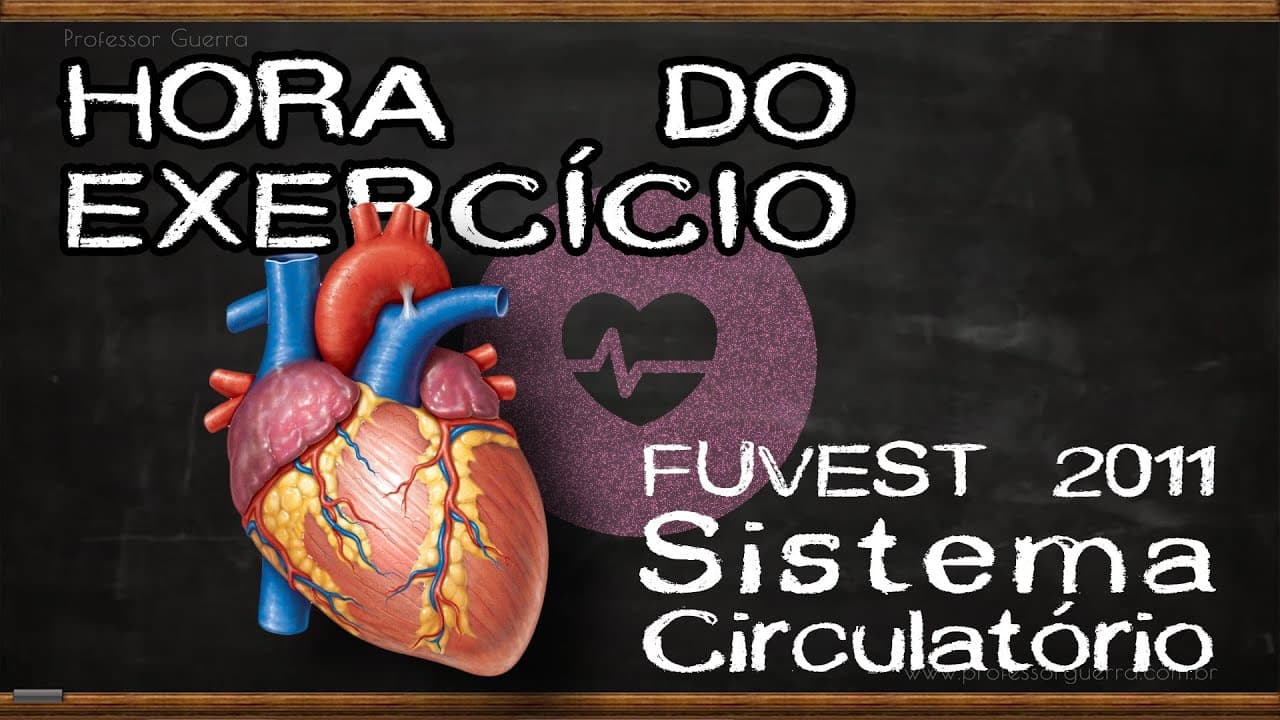 Thumbnail: Sistema circulatório - FUVEST 2011