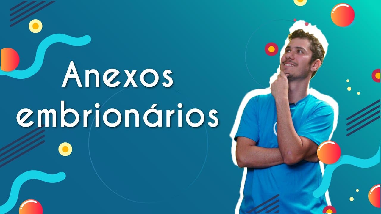 Thumbnail: Anexos embrionários - Brasil Escola