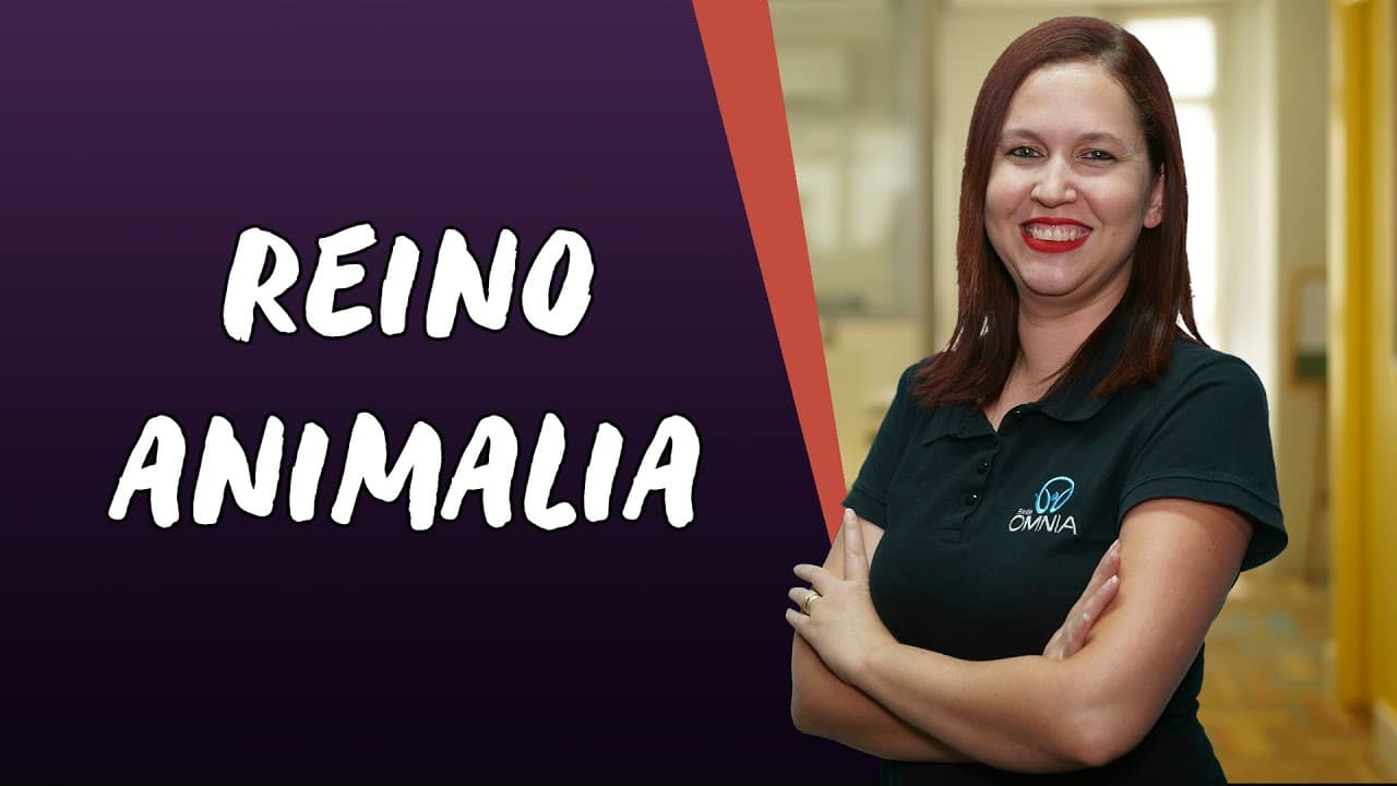Thumbnail: Reino Animalia - Brasil Escola