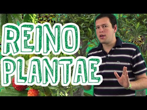 Thumbnail da aula: Aula Biologia - Reino Plantae - Visão Geral e Evolução Vegetal para o Enem e Vestibulares - STOODI