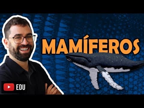Thumbnail da aula: Mamíferos - Aula 33 - Módulo VI: Zoologia | Prof. Gui
