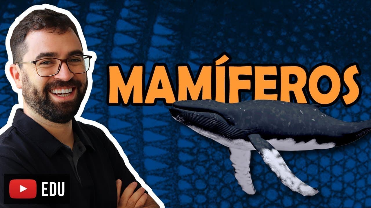Thumbnail: Mamíferos - Aula 33 - Módulo VI: Zoologia | Prof. Gui