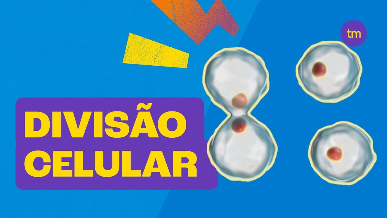 Thumbnail: Entenda a DIVISÃO CELULAR | Mitose e Meiose