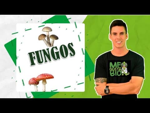 Thumbnail da aula: Fungos (Reino Fungi) - Professor Gustavo Schmidt