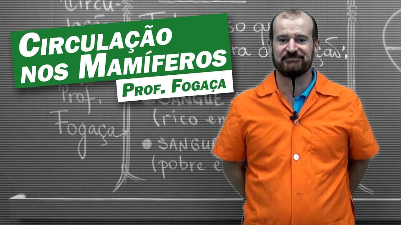 Thumbnail: Biologia - Circulação nos Mamíferos (parte 1)