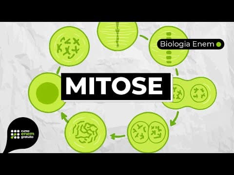 Thumbnail da aula: MITOSE | Resumo de Biologia para o Enem