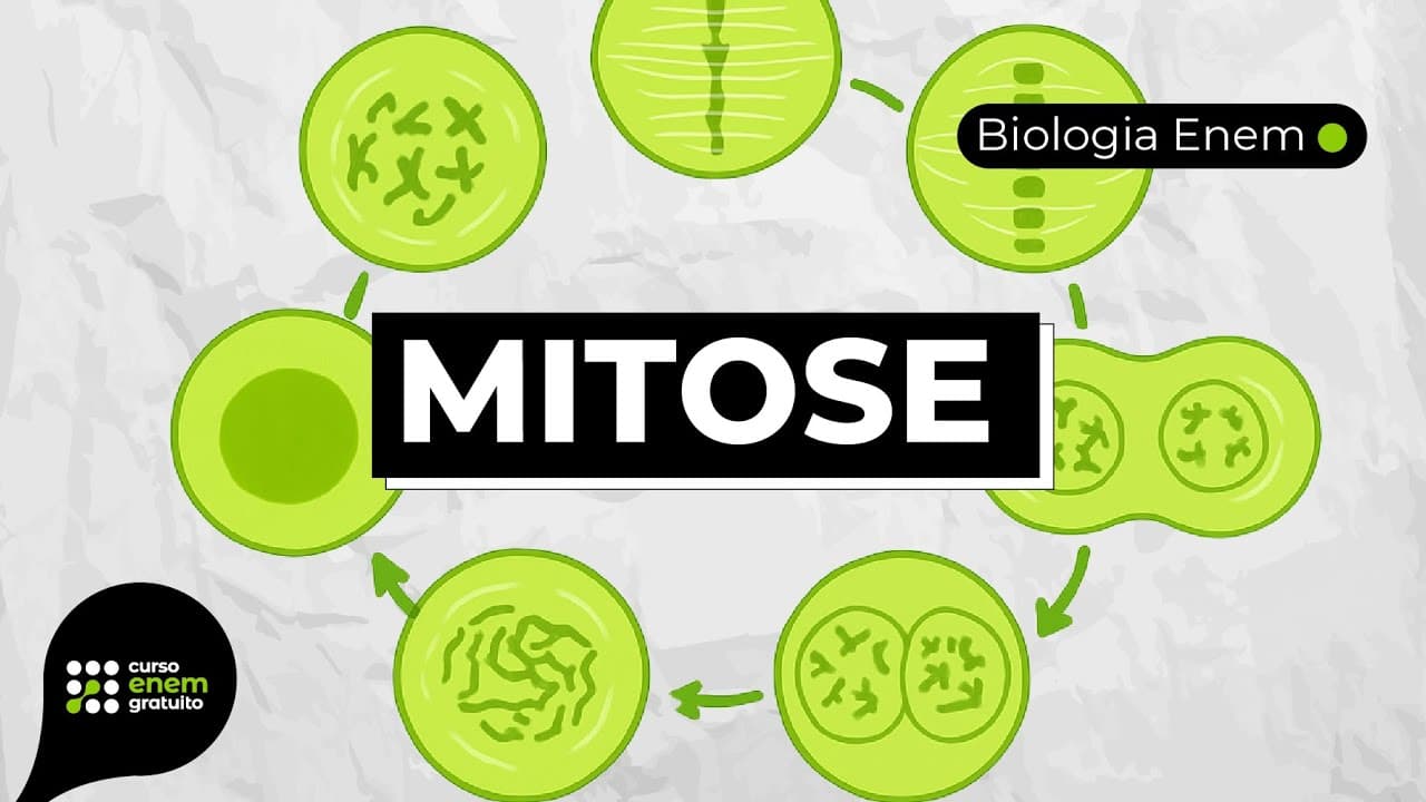 Thumbnail: MITOSE | Resumo de Biologia para o Enem