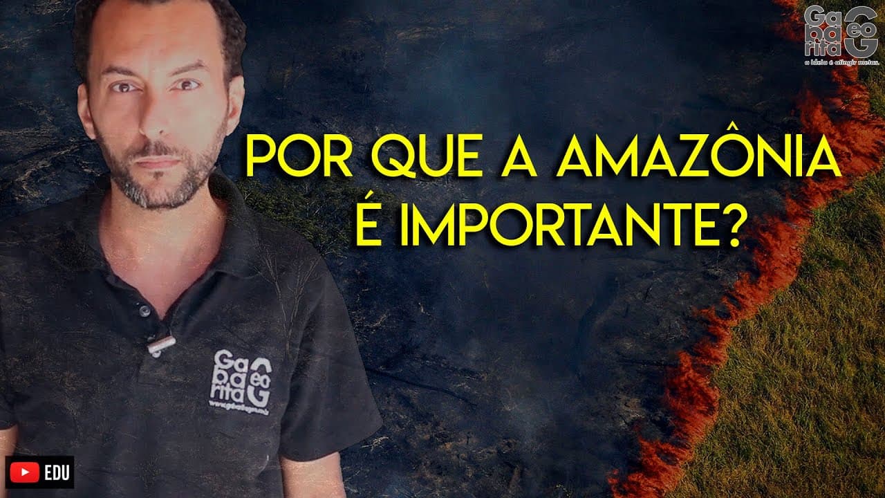 Thumbnail: Entenda o desmatamento da Amazônia |Amazônia Pulmão do Mundo | Fake News Amazônia