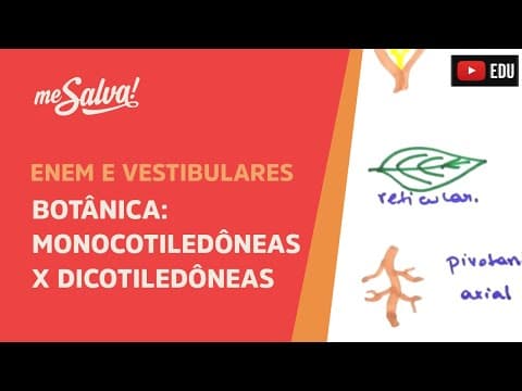 Thumbnail da aula: Me Salva! BOT12 - Botânica - Monocotiledôneas versus Dicotiledôneas