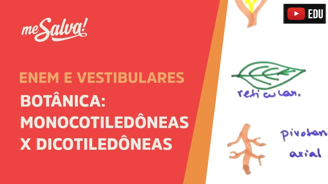 Thumbnail: Me Salva! BOT12 - Botânica - Monocotiledôneas versus Dicotiledôneas
