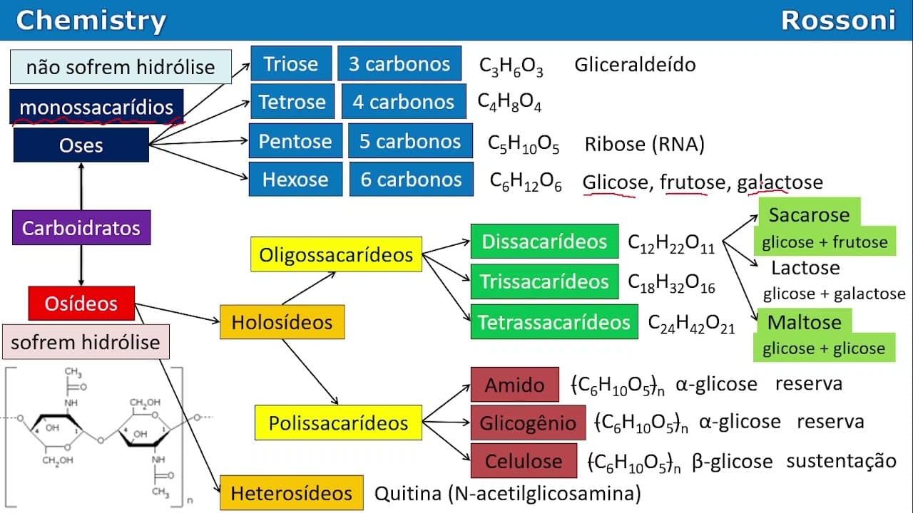 Thumbnail: UFRGS 2013 Química - Questão 41 - Bioquímica - Carboidratos, ácidos graxos e proteínas