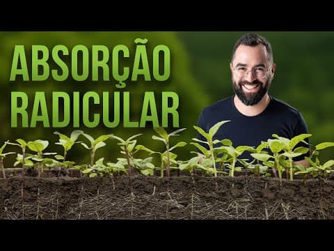 Thumbnail da aula: Absorção Radicular: Etapas, Seca Fisiológica e Nutrientes | ENEM/Vestibulares | Prof. Gui