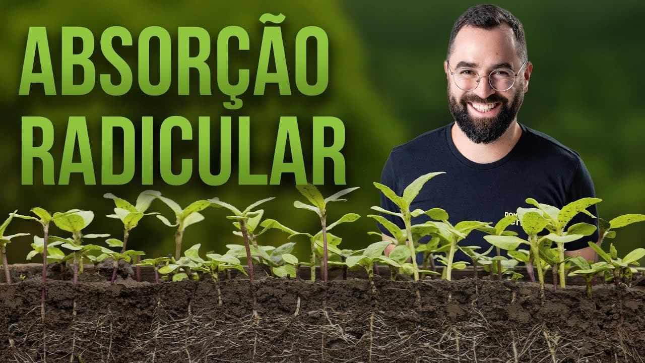 Thumbnail: Absorção Radicular: Etapas, Seca Fisiológica e Nutrientes | ENEM/Vestibulares | Prof. Gui