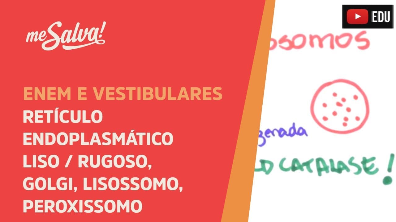 Thumbnail: Me Salva! CIT19 - Citologia - Organelas citoplasmáticas: RE Liso/Rugoso, Golgi/Lisossomo/Peroxissomo