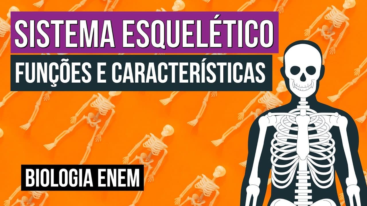 Thumbnail: SISTEMA ESQUELÉTICO: funções e características | Biologia para o Enem | Cláudia de Souza Aguiar