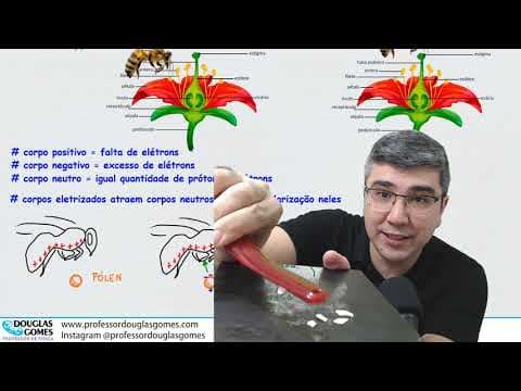Thumbnail da aula: Física, abelhas e polinização | Física do Cotidiano