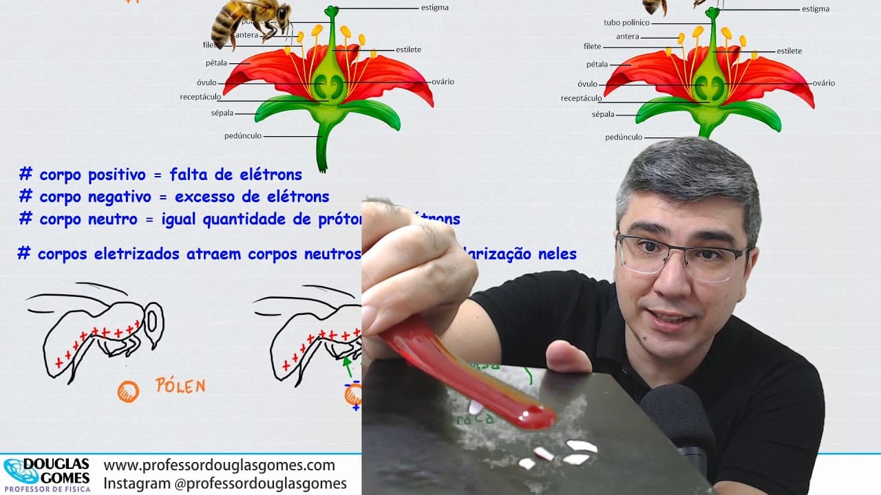 Thumbnail: Física, abelhas e polinização | Física do Cotidiano