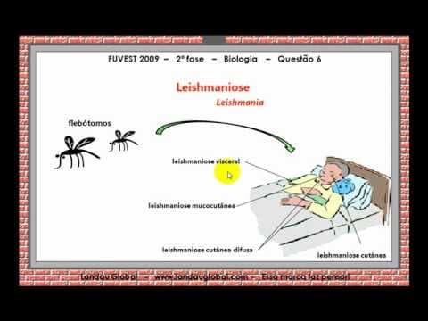 Thumbnail da aula: USP_2009_BIO_P2_Q6