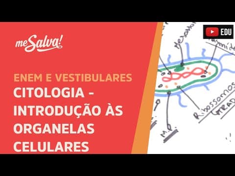 Thumbnail da aula: Me Salva! CIT17 - Citologia - Introdução às organelas celulares