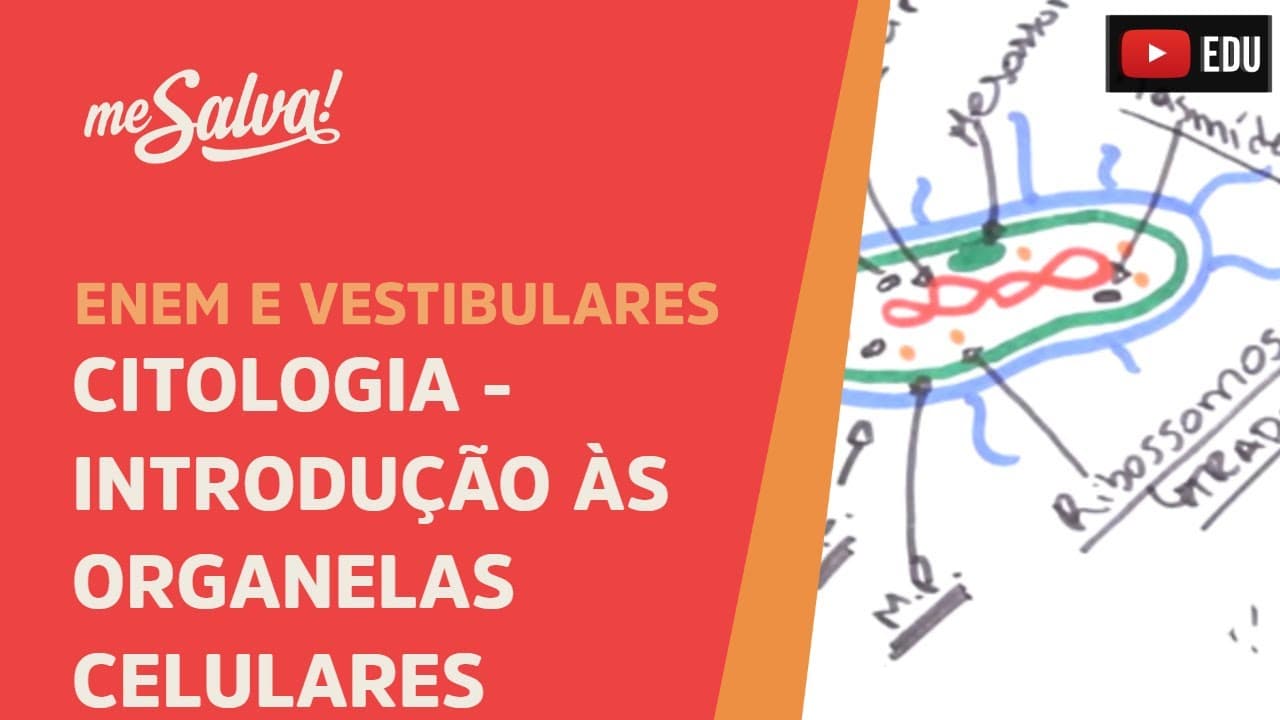 Thumbnail: Me Salva! CIT17 - Citologia - Introdução às organelas celulares