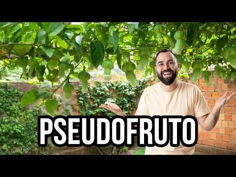 Thumbnail da aula: PRA NÃO ERRAR NA PROVA: Pseudofrutos x Infrutescências x Partenocárpicos | Prof. Gui