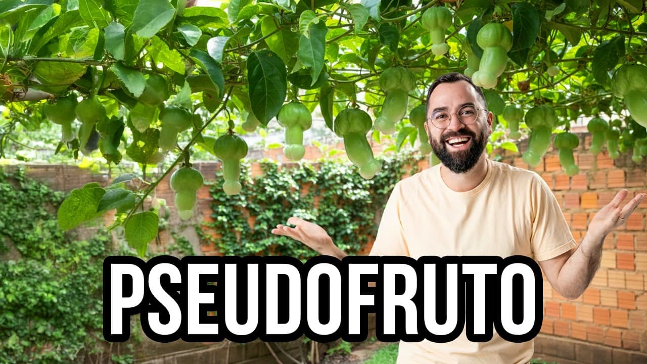 Thumbnail: PRA NÃO ERRAR NA PROVA: Pseudofrutos x Infrutescências x Partenocárpicos | Prof. Gui
