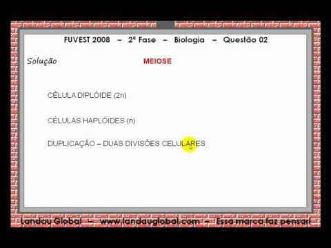 Thumbnail da aula: USP_2008_BIO_P2_Q02