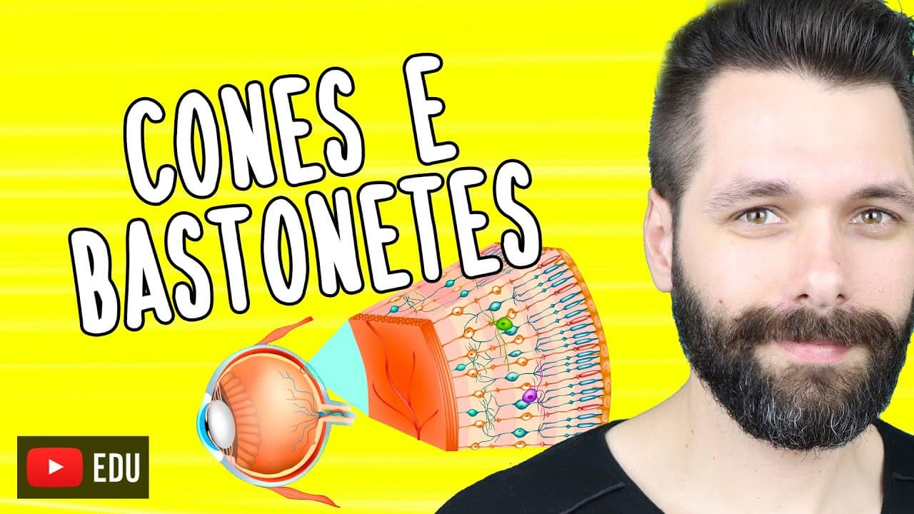 Thumbnail: CONES E BASTONESES - As células da Visão | Biologia com Samuel Cunha