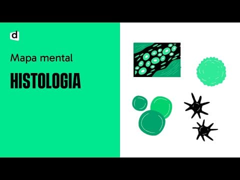 Thumbnail da aula: HISTOLOGIA: UM SUPER MAPA MENTAL PARA O ENEM E VESTIBULARES