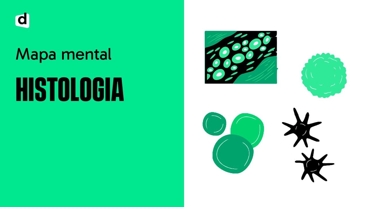 Thumbnail: HISTOLOGIA: UM SUPER MAPA MENTAL PARA O ENEM E VESTIBULARES