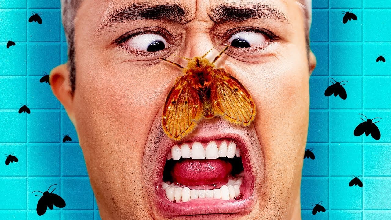 Thumbnail: Por que tem MOSQUINHAS NO BANHEIRO?