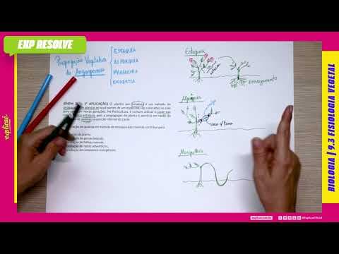 Thumbnail da aula: O PLANTIO POR ESTAQUIA É UM MÉTODO DE PROPAGAÇÃO DE PLANTAS NO QUAL PARTES(...) | FISIOLOGIA VEGETAL
