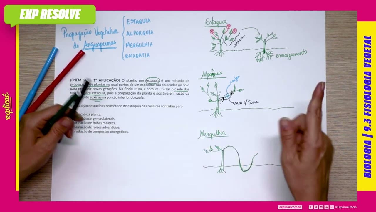 Thumbnail: O PLANTIO POR ESTAQUIA É UM MÉTODO DE PROPAGAÇÃO DE PLANTAS NO QUAL PARTES(...) | FISIOLOGIA VEGETAL