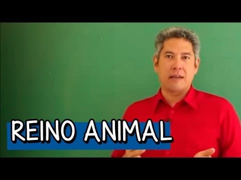 Thumbnail da aula: Poríferos, Cnidários e Platelmintos - Resumo para o ENEM: Biologia | Descomplica