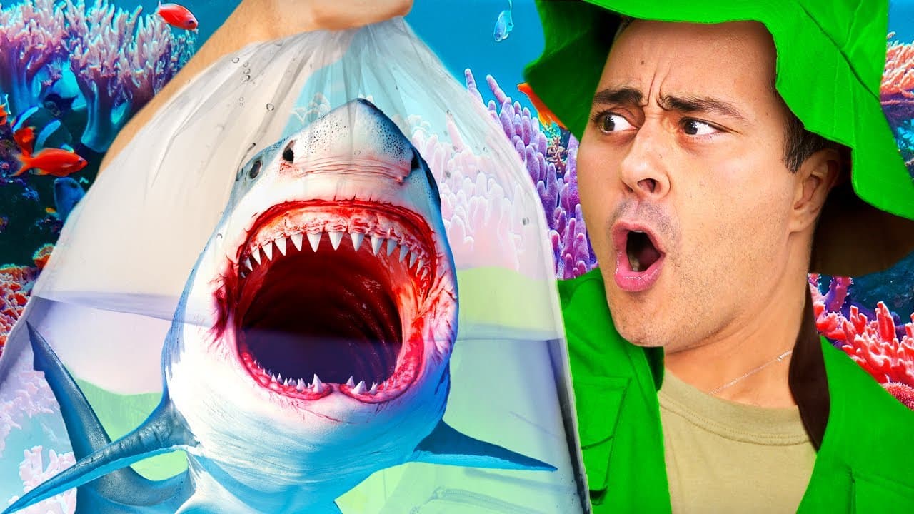 Thumbnail: Por que não existem TUBARÕES-BRANCOS em CATIVEIRO?