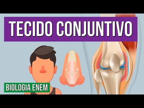 Thumbnail da aula: TECIDO CONJUNTIVO: Tipos, características, funções e composição | Resumo de Biologia para o Enem