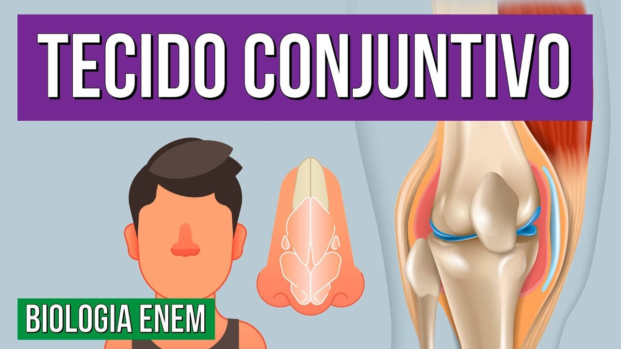 Thumbnail: TECIDO CONJUNTIVO: Tipos, características, funções e composição | Resumo de Biologia para o Enem