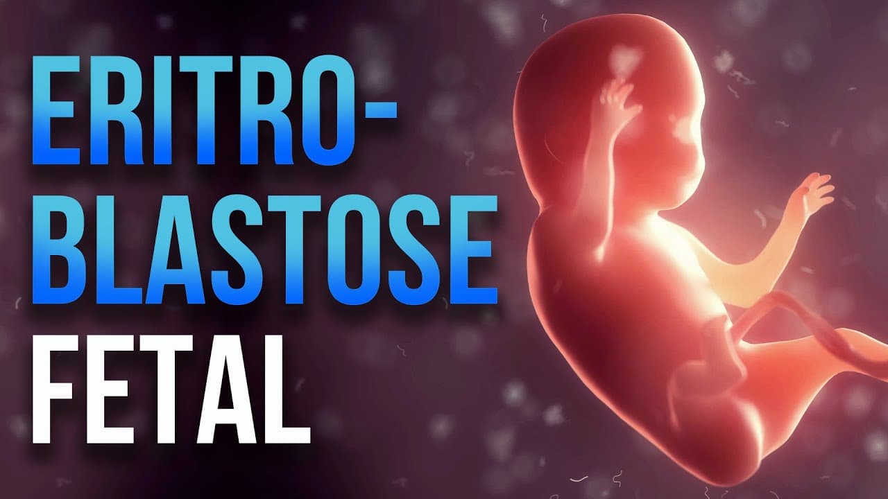 Thumbnail: Sistema Rh, MN e Eritroblastose Fetal - Aula 08 - Módulo 2: Genética