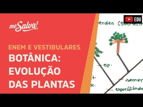 Thumbnail da aula: Me Salva! BOT01 - Botânica - Evolução das plantas