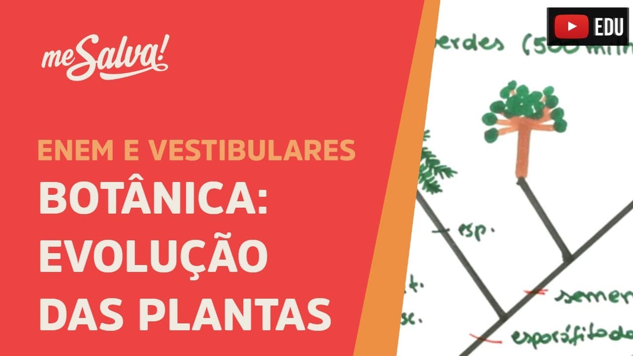 Thumbnail: Me Salva! BOT01 - Botânica - Evolução das plantas